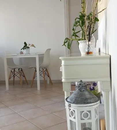 Orchidea