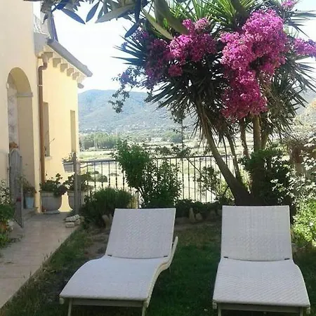 Orchidea Nocleg ze śniadaniem