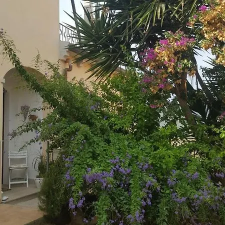 לינה וארוחת בוקר Orchidea