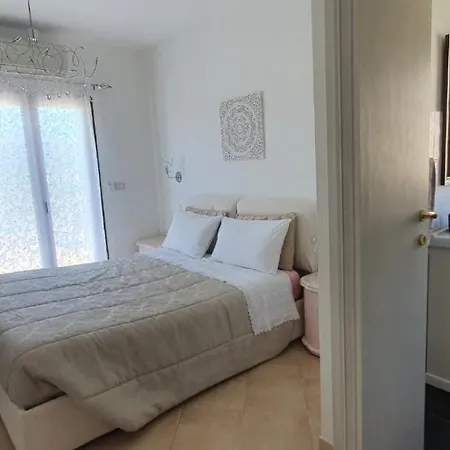 Orchidea אולביה