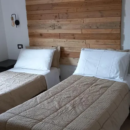 Orchidea אולביה