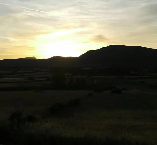 Orchidea Couette-café