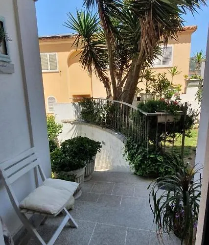 Orchidea Ольбія